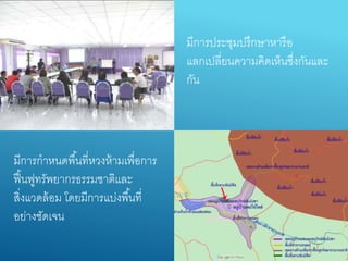 มีกำรประชุมปรึกษำหำรือ
แลกเปลี่ยนควำมคิดเห็นซึ่งกันและ
กัน
มีกำรกำหนดพื้นที่หวงห้ำมเพื่อกำร
ฟื้นฟูทรัพยำกรธรรมชำติและ
สิ่งแวดล้อม โดยมีกำรแบ่งพื้นที่
อย่ำงชัดเจน
 