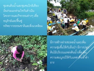 ชุมชนต้นน้ำและชุมชนใกล้เคียง
เริ่มร่วมแรงร่วมใจกันดำเนิน
โครงกำรและกิจกรรมต่ำงๆ เพื่อ
อนุรักษ์และฟื้นฟู
ทรัพยำกรธรรมชำติและสิ่งแวดล้อม
มีกำรสร้ำงฝำยชะลอน้ำและเพิ่ม
ควำมชุ่มชื้นให้กับผืนป่ำ มีกำรปลูก
ต้นไม้บริเวณแหล่งต้นน้ำเพื่อเพิ่ม
ควำมสมบูรณ์ให้กับแหล่งต้นน้ำลำ
ธำร
 