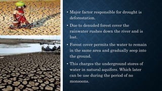 • Major factor responsible for drought is
deforestation.
• Due to denuded forest cover the
rainwater rushes down the river and is
lost.
• Forest cover permits the water to remain
in the same area and gradually seep into
the ground.
• This charges the underground stores of
water in natural aquifers. Which later
can be use during the period of no
monsoons.
 