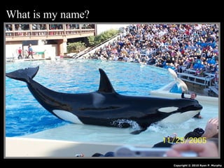 What is my name?
Copyright © 2010 Ryan P. Murphy
 