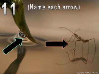 Copyright © 2010 Ryan P. Murphy
 