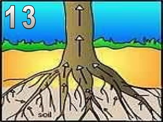 Copyright © 2010 Ryan P. Murphy
 