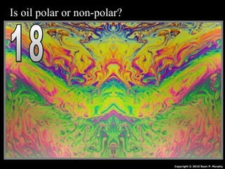 Is oil polar or non-polar?
Copyright © 2010 Ryan P. Murphy
 