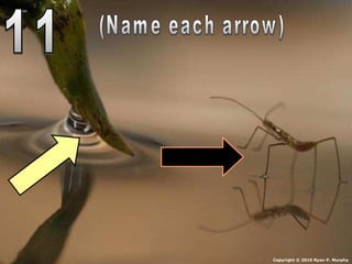 Copyright © 2010 Ryan P. Murphy
 