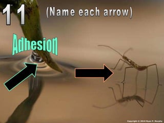 Copyright © 2010 Ryan P. Murphy
 