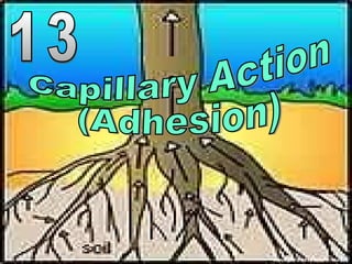 Copyright © 2010 Ryan P. Murphy
 