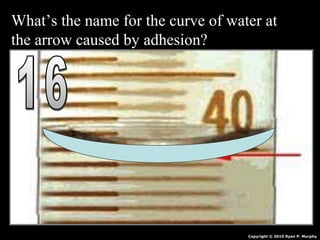 What’s the name for the curve of water at
the arrow caused by adhesion?
Copyright © 2010 Ryan P. Murphy
 