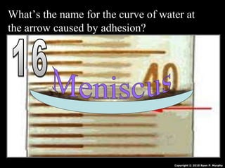What’s the name for the curve of water at
the arrow caused by adhesion?
Copyright © 2010 Ryan P. Murphy
 