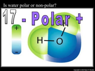 Is water polar or non-polar?
Copyright © 2010 Ryan P. Murphy
 