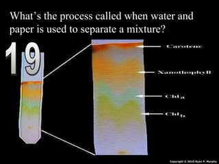What’s the process called when water and
paper is used to separate a mixture?
Copyright © 2010 Ryan P. Murphy
 