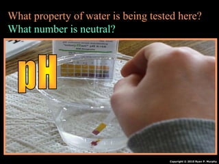 What property of water is being tested here?
What number is neutral?
Copyright © 2010 Ryan P. Murphy
 
