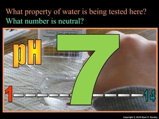 What property of water is being tested here?
What number is neutral?
Copyright © 2010 Ryan P. Murphy
 