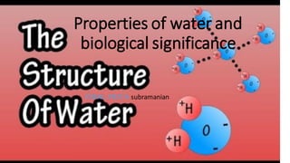 Properties of water and
biological significance
Vimal Priya subramanian
 