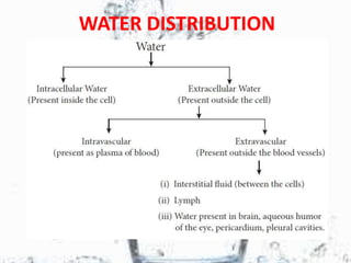 WATER DISTRIBUTION
 