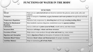 Water Function Comprehensive Overview of Water and Electrolyte Balance in Human Body ...
