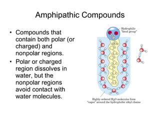 Amphipathic Compounds Compounds that contain both polar (or charged) and nonpolar regions. Polar or charged region dissolves in water, but the nonpolar regions avoid contact with water molecules. 