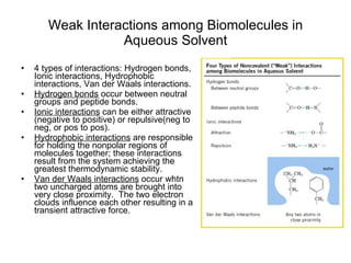 Weak Interactions among Biomolecules in Aqueous Solvent 4 types of interactions: Hydrogen bonds, Ionic interactions, Hydrophobic interactions, Van der Waals interactions. Hydrogen bonds  occur between neutral groups and peptide bonds. Ionic interactions  can be either attractive (negative to positive) or repulsive(neg to neg, or pos to pos). Hydrophobic interactions  are responsible for holding the nonpolar regions of molecules together; these interactions result from the system achieving the greatest thermodynamic stability. Van der Waals interactions  occur whtn two uncharged atoms are brought into very close proximity.  The two electron clouds influence each other resulting in a transient attractive force. 