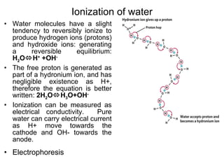 Ionization of water Water molecules have a slight tendency to reversibly ionize to produce hydrogen ions (protons) and hydroxide ions: generating a reversible equilibrium:  H 2 O  H +  +OH - The free proton is generated as part of a hydronium ion, and has negligible existence as H+, therefore the equation is better written:  2H 2 O  H 3 O+OH - Ionization can be measured as electrical conductivity.  Pure water can carry electrical current as H+ move towards the cathode and OH- towards the anode. Electrophoresis 