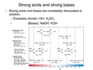 Strong acids and strong bases Strong acids and bases are completely dissociated in solution. Examples (Acids): HCl, H 2 SO 4 (Bases): NaOH, KOH 