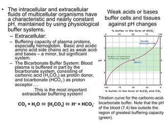 Weak acids or bases buffer cells and tissues against pH changes The intracellular and extracellular fluids of multicellular organisms have a characteristic and nearly constant pH, maintained by using physiological buffer systems . Extracellular: Buffering capacity of plasma proteins, especially hemoglobin.  Basic and acidic amino acid side chains act as weak acids and bases – a minor, but significant system. The Bicarbonate Buffer System: Blood plasma is buffered in part by the bicarbonate system, consisting of carbonic acid (H 2 CO 3 ) as proton donor, and bicarbonate (HCO 3 - ) as proton acceptor…. This is the most important extracellular buffering system! CO 2  + H 2 O    [H 2 CO 3 ]    H +  + HCO 3 - Titration curve for the carbonic-acid-bicarbonate buffer. Note that the pH of the blood (7.4) lies outside the region of greatest buffering capacity (green). 