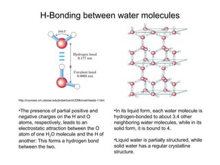 H-Bonding between water molecules In its liquid form, each water molecule is hydrogen-bonded to about 3.4 other neighboring water molecules, while in its solid form, it is bound to 4.  Liquid water is partially structured, while solid water has a regular crystalline structure. http://courses.cm.utexas.edu/jrobertus/ch339k/overheads-1.htm The presence of partial positive and negative charges on the H and O atoms, respectively, leads to an electrostatic attraction between the O atom of one H 2 O molecule and the H of another: This forms a hydrogen bond between the two.  