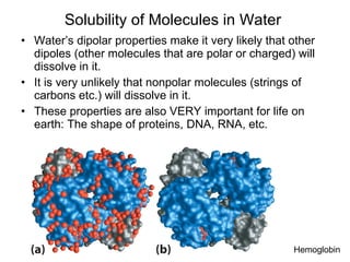Solubility of Molecules in Water  Water’s dipolar properties make it very likely that other dipoles (other molecules that are polar or charged) will dissolve in it.  It is very unlikely that nonpolar molecules (strings of carbons etc.) will dissolve in it. These properties are also VERY important for life on earth: The shape of proteins, DNA, RNA, etc. Hemoglobin 