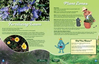 Teucrium
                                                                                                teucrium fruticans
                                                                                                                                                 Plant Zones
                                                                                                                        Plant Zones
                                                                                                                        A plant “zone” is an area where plants are grouped together with
                                                                                                                        similar watering requirements.
                                                                                                                        Zone 1 Lawn & Container Plants need water most frequently.
                                                                                                                        Check garden soil and plants in pots with a screwdriver.

                                                                                                                        Zone 2 Fruit Trees, Vegetables, Roses and other water-thirsty plants not
                                                                                                                        listed as “water-wise” should be watered deeply and more frequently. They
                                                                                                                        will not tolerate having dry soil like a water-wise plant.

                                                                                                                        Zone 3 Water-Wise Plants need deep water, but less
                                                                                                                        frequently. Newly established water-wise plants should
                                                                                                                        be treated like a new plant until third year. Most
                                                                                                                        shallow rooted plants like groundcovers and perennials

               Fertilizing Lawn                                                                                         will need less water by the second year. However, pay
                                                                                                                        special attention to new trees, they may need extra
                                                                                                                        water during hot summer months of the second year.

My Lawn Looks Brown Even Though I Water Deeply                                                                          Set your watering system to water each zone differently. Experiment with time
In winter, warm season grasses go dormant.                                                                              to see if plants are thriving. Try less water before you add more.
To green up a dormant, brown lawn, over seed it in late fall with an annual ryegrass
                                                                                                                        Should I Only Plant California Natives?
In summer, dying patches of lawn may indicate faulty sprinklers or a layer of thatch. Thatch is a buildup of            Not all California native plants are water-wise, in fact, some California natives need frequent water. The term
living and dead plant materials blocking water from reaching the soil. If you water for 20 minutes and water            “California Native” can be misleading. The best choice for Modesto landscapes is a mix of water-wise
                                             does not reach the soil, there is most likely a thatch problem.            California native plants and water-wise Mediterranean plants.
                                                     To reduce thatch, rent dethatch equipment from a
                                                         nursery or garden center

                                                             Fertilizing Lawn
                                                               If your lawn is green and healthy, there is no
                                                                 need to add fertilizer. If you choose to use a                                                                Did You Know?
                                                                   fertilizer, the best time to use it is in late                                                    Set your lawn mower height according to grass type.
                                                                    fall. Fertilizing during warm                                                                    Warm Season-1” ~ Cool -2 1/2”
                                                                     temperatures may stress your lawn
                                                                      and/or add to the mowing frequency.                                                            In most cases, mushrooms in the lawn indicate the breakdown of
                                                                                                                                                                     organic material. This process is not harmful to your lawn. Simply
                                                                                                                                                                     rake them out as they appear.

                                                                                                                                                                     However, a circular pattern of mushrooms may indicate the
                                                                                                                                                                     presence of a fungus called a “fairy ring.”

                                                                                                                                                                     Aerate your soil and water properly to help reduce mushrooms.




                                                                                                  Mist Grass           Fine Fescue
                                                                                             muhlenbergia capillaris      Grass
 