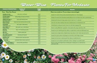 Water-Wise                                             Plants For Modesto
 Common & Botanical Name                     Features of                        Height
                                                                                                                                                             Remarks
                                               Interest                         Width
Trees - Plant Year Round                                                                               Plant trees in full sun. Prune to keep at desired height.
 Australian Tea Tree                   white, pink or red flowers                10-30’
                                                                                                        Evergreen tree needs minimal pruning. Spring blooming flowers are “show-stopping.”
 Leptospermum laevigatum                                                         10-30’
 Australian Willow              willowy foliage, inconspicuous flowers           25-30’
                                                                                                        Evergreen tree grows slowly. Resembles weeping willow but has non-invasive roots. Plant in protected place.
 Gejera parviflora                                                               15-20’
 California Fan Palm (C)             tall tree with attractive leaves            50-60’
                                                                                                        Evergreen palm best used on large property. Trunk can reach up to 2’ in diameter.
 Washingtonia filifera                                                           15-20’
 Chinese Pistache           female trees have red berries that turn black        30-50’
                                                                                                        Leaves turn color before dropping in fall. Slow to moderate grower. Has well-behaved roots.
 Pistacia chinensis                                                              30-50’
 Crape Myrtle                        Pink, purple or white flowers               20-25’
                                                                                                        Colorful blooms in spring and summer. Leaves turn color before dropping in fall.
 Lagerstroemia indica                                                            20-25’
 Desert Willow (C)                pink, purple, rose, or white flowers           15-30’
                                                                                                        Flowers in spring. Willow-like in appearance. Grows quickly when young. Loses leaves in fall.
 Chilopsis linearis                                                              10-20’
 Holly Oak                         Oval, 11/2” brownish gray acorns              30-60’
                                                                                                        Evergreen tree has moderate growth rate. Makes an excellent lawn or street tree. Well-behaved roots.
 Quercus ilex                                                                    30-60’
 Olive Tree                              fruitless varieties best                25-30’
                                                                                                        Evergreen tree is drought tolerant. ‘Majestic Beauty’ bears almost no fruit. ‘Bonita’ does bear tiny fruit.
 Olea europaea                                                                   25-30’
 Silver Dollar Eucalyptus              interesting seed capsules                 20-50’
                                                                                                        Evergreen tree grows quickly. Young foliage has round leaves, mature foliage is slender.
 Eucalyptus cinerea                                                              20-40’
 Strawberry Tree                  attractive red fruit, dark brown bark          10-30’
                                                                                                        Evergreen tree has slow to moderate growth rate. Makes an excellent lawn tree.
 Arbutus unedo                                                                   10-30’
    Sweet Bay                   small yellow flower clusters, purple fruit       15-40’
                                                                                                        Evergreen tree can be planted in partial shade or full sun. ‘Saratoga’ is an excellent cultivar.
      Laurus nobilis                                                             15-40’
         Western Redbud (C)          sweet pea-like purple flowers               10-18’                 Flowers in spring. Heart-shaped leaves are bluish-green. Usually grown as a multi-trunk tree.
          Cercis occidentalis                                                    10-18’                 Loses leaves in fall.




                                                                                                                          Red Buckwheat
                                                                                                                     eriogonum grande rubescens
                                                                             Santa Barbara Daisy
                                                                              erigeron karvinskianus
 