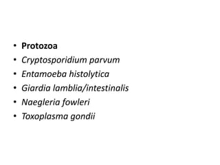 • Protozoa
• Cryptosporidium parvum
• Entamoeba histolytica
• Giardia lamblia/intestinalis
• Naegleria fowleri
• Toxoplasma gondii
 