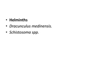 • Helminths
• Dracunculus medinensis.
• Schistosoma spp.
 