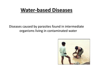 Water-based Diseases
Diseases caused by parasites found in intermediate
organisms living in contaminated water
 