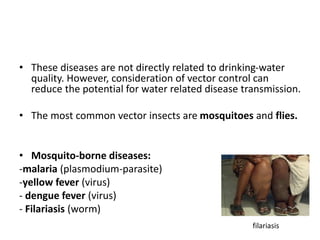 • These diseases are not directly related to drinking-water
quality. However, consideration of vector control can
reduce the potential for water related disease transmission.
• The most common vector insects are mosquitoes and flies.
• Mosquito-borne diseases:
-malaria (plasmodium-parasite)
-yellow fever (virus)
- dengue fever (virus)
- Filariasis (worm)
filariasis
 