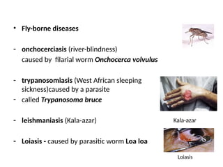 water-bornediseases harshal NEW.pptx water borne | PPTX