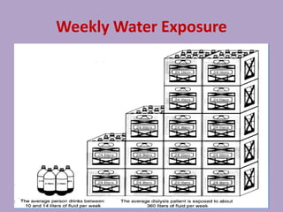 Weekly Water Exposure
 