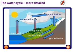 The water cycle – more detailed 