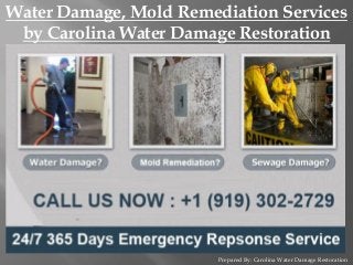 Prepared By: Carolina Water Damage Restoration
Water Damage, Mold Remediation Services
by Carolina Water Damage Restoration
 