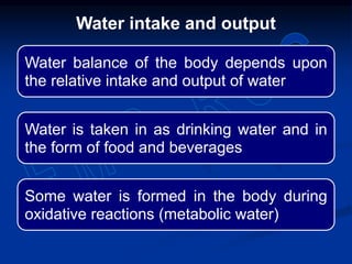 Water intake and output
Water balance of the body depends upon
the relative intake and output of water
Water is taken in as drinking water and in
the form of food and beverages
Some water is formed in the body during
oxidative reactions (metabolic water)
 