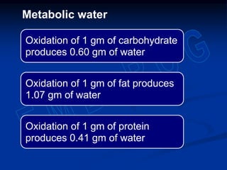 Metabolic water
Oxidation of 1 gm of carbohydrate
produces 0.60 gm of water
Oxidation of 1 gm of fat produces
1.07 gm of water
Oxidation of 1 gm of protein
produces 0.41 gm of water
 