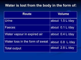 Route Volume
Urine about 1.5 L /day
Faeces about 0.1 L /day
Water vapour in expired air about 0.4 L /day
Water loss in the form of sweat about 0.8 L /day
Total output about 2.8 L /day
Water is lost from the body in the form of:
 