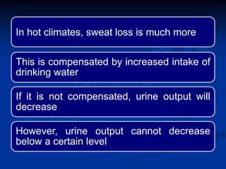 In hot climates, sweat loss is much more
This is compensated by increased intake of
drinking water
If it is not compensated, urine output will
decrease
However, urine output cannot decrease
below a certain level
 