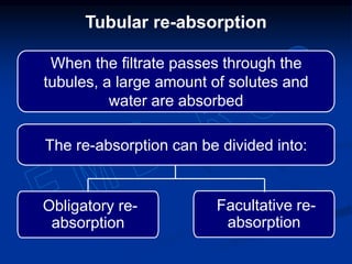 When the filtrate passes through the
tubules, a large amount of solutes and
water are absorbed
The re-absorption can be divided into:
Obligatory re-
absorption
Facultative re-
absorption
Tubular re-absorption
 