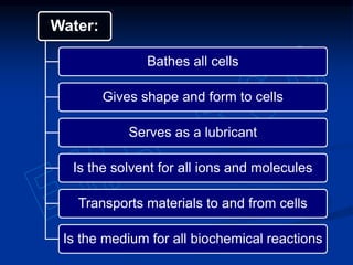 Water:
Bathes all cells
Gives shape and form to cells
Serves as a lubricant
Is the solvent for all ions and molecules
Transports materials to and from cells
Is the medium for all biochemical reactions
 