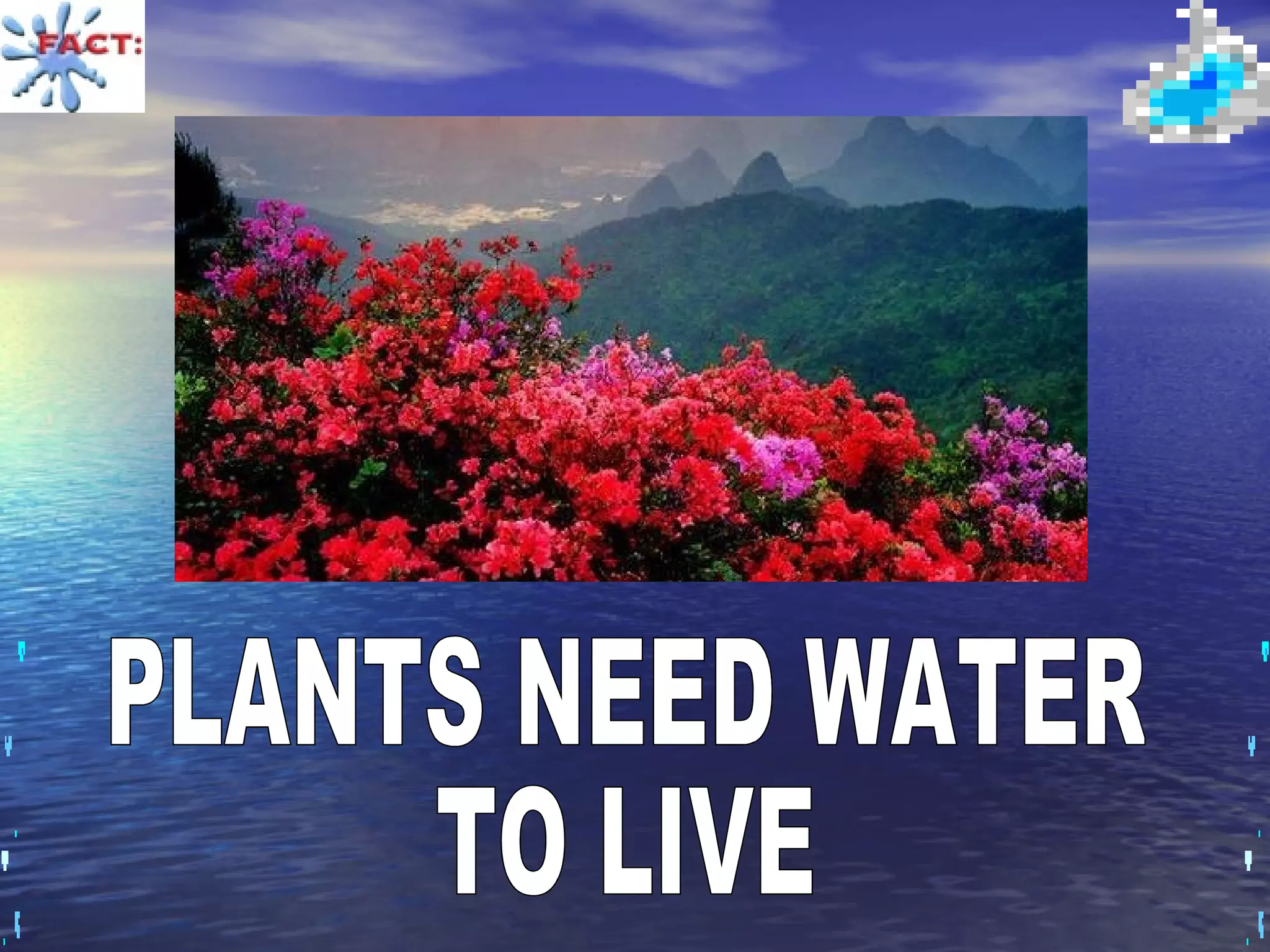 PLANTS NEED WATER  TO LIVE 