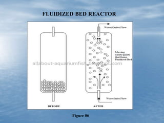 FLUIDIZED BED REACTOR
Figure 06
 
