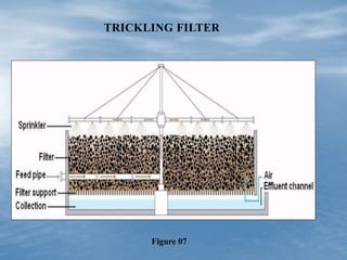 TRICKLING FILTER
Figure 07
 