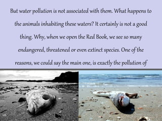 But water pollution is not associated with them. What happens to
the animals inhabiting these waters? It certainly is not a good
thing. Why, when we open the Red Book, we see so many
endangered, threatened or even extinct species. One of the
reasons, we could say the main one, is exactly the pollution of
these waters.

 