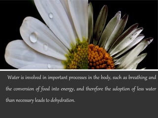 Water is involved in important processes in the body, such as breathing and

the conversion of food into energy, and therefore the adoption of less water
than necessary leads to dehydration.

 