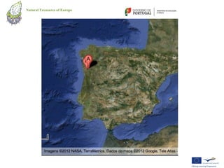 Natural Treasures of Europe
 