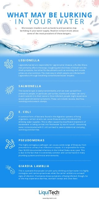 www.liquitech.com
WHAT MAY BE LURKING
I N Y O U R W A T E R
L E G I O N E L L A
Legionella bacteria is responsible for Legionnaires’ disease, a flu-like illness
that primarily affects the lungs. Coughing and shortness of breath are the
chief symptoms, but other flu-like ailments such as vomiting and muscle
aches are also common. The main way in which people are infected with
Legionella is through breathing contaminated water droplets.
S A L M O N E L L A
This bacteria type is easily transmittable, and can even spread from
animals to people. In particular, pet turtles, lizards and snakes can carry
it and transmit it to their owners. Once infected, people might experience
severe gastrointestinal symptoms. These can include nausea, diarrhea,
vomiting and stomach cramps.
E . C O L I
A common form of bacteria found in the digestive systems of living
organisms, certain strains can cause illnesses when introduced into
drinking water supplies. This is often caused by insufficient treatment of
wastewater or being carried into freshwater by storm runoff. Consuming
water contaminated with E. coli can lead to severe abdominal cramping,
vomiting and diarrhea.
P S E U D O M O N A S
This highly contagious pathogen can cause a wide range of illnesses, from
pneumonia to urinary tract infection to sepsis. It is responsible for more
than 50,000 documented infections in the United States every year. This
is due to the fact that it is extremely common and can be found in many
plumbing systems and moist environments.
G I A R D I A L A M B L I A
This is a parasite that people can pick up by drinking unclean water. It is highly
contagious and can be spread even when the carrier exhibits no outward
signs of infection. If someone shows symptoms of being infected, though, he
or she may experience diarrhea, stomach cramps and a low fever.
Microscopic invaders such as bacteria and parasites may
be hiding in your water supply. Read on to learn more about
some of the most prevalent of these dangers.
 