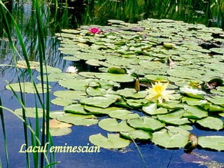 Lacul eminescian 
